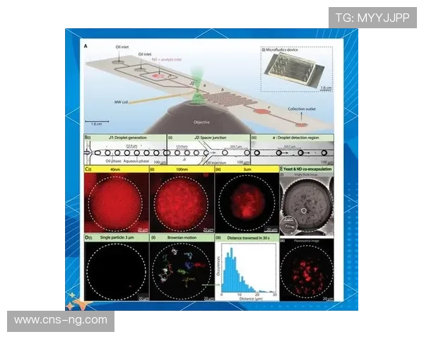 量子传感技术探索应用于运动员精准选材与状态监测